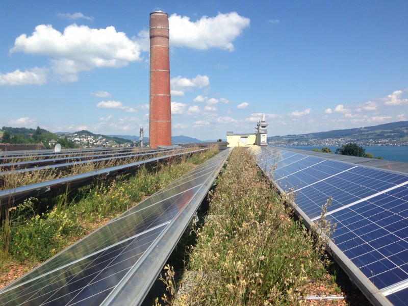 Solar green roof, Switzerland