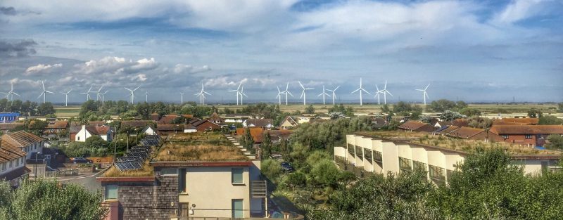 extensive green roofs