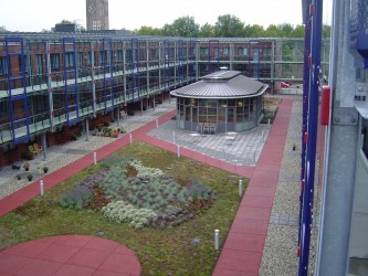 Green Roof in the Netherlands