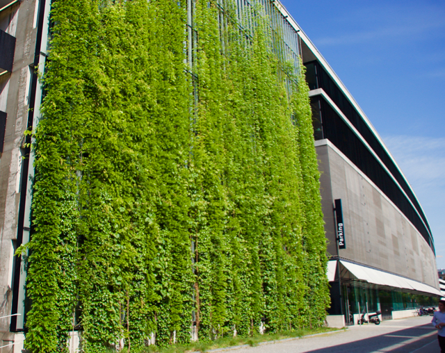 Green Walls Are Essentially A Living Cladding System