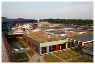Deventer Hospital, 7000m2 sedums, 2008