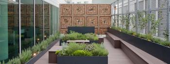 Green roofs can help in aiding workplace health