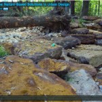 Nature Based Solutions Helping to Change Our Cities