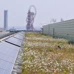 How London could become the green capital of the world