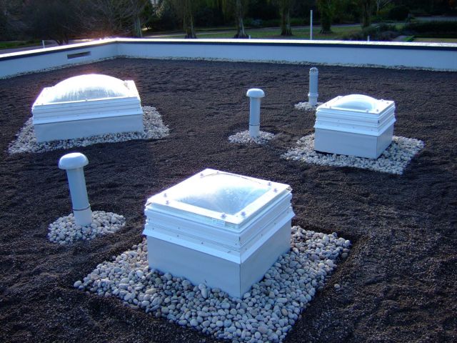 Green roof on Florence Park Family Centre