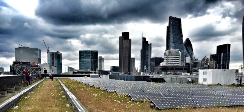 Green roof beauty contest