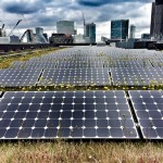 Competition to celebrate the beauty of green roofs