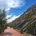 Buzzing green roofs London – Abbey Road