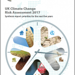 Green roofs are a win win – Climate Risk report