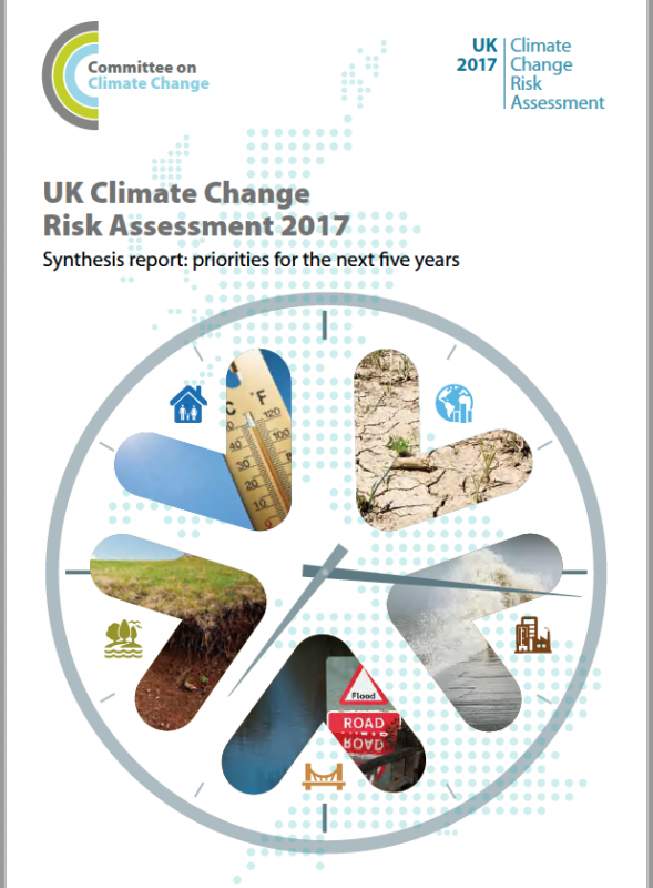 Green roofs are a win win - Climate Risk report