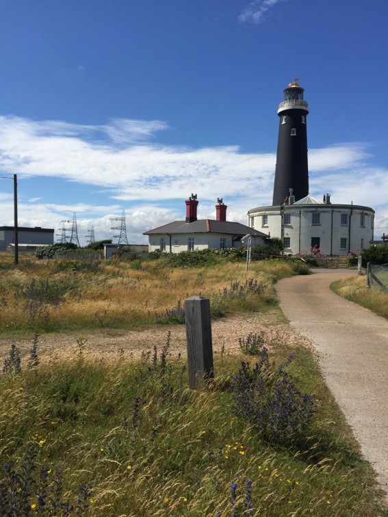 Green Roof Wildflower Template – Dungeness