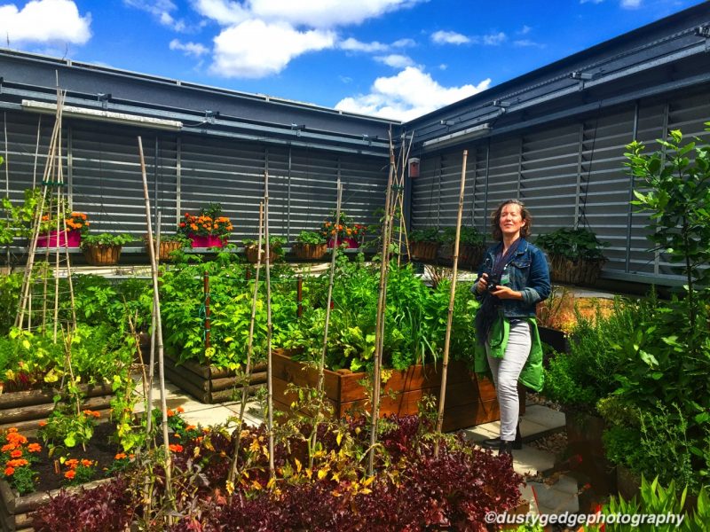 Food growing green infrastructure London