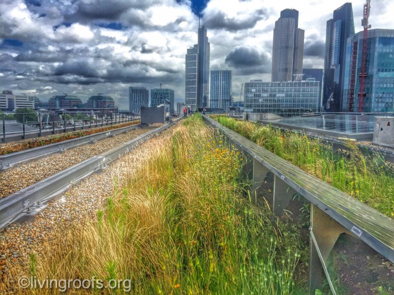 green roofs london