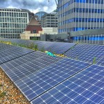 Facilities Management and Plants at Work Week