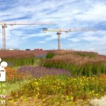 A green roof Emporium in Sweden – Green Roof Beauty