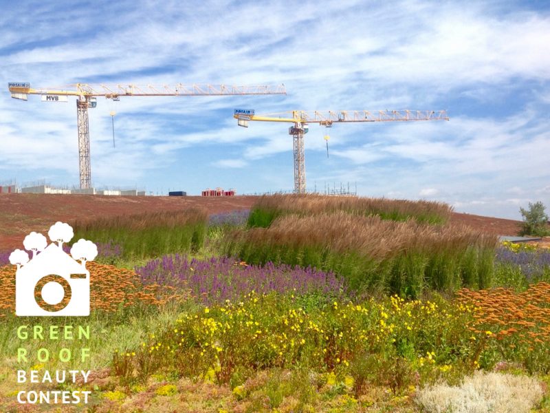 Emporium - green roof Sweden