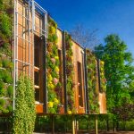 Green walls on a French School – Green infrastructure in action
