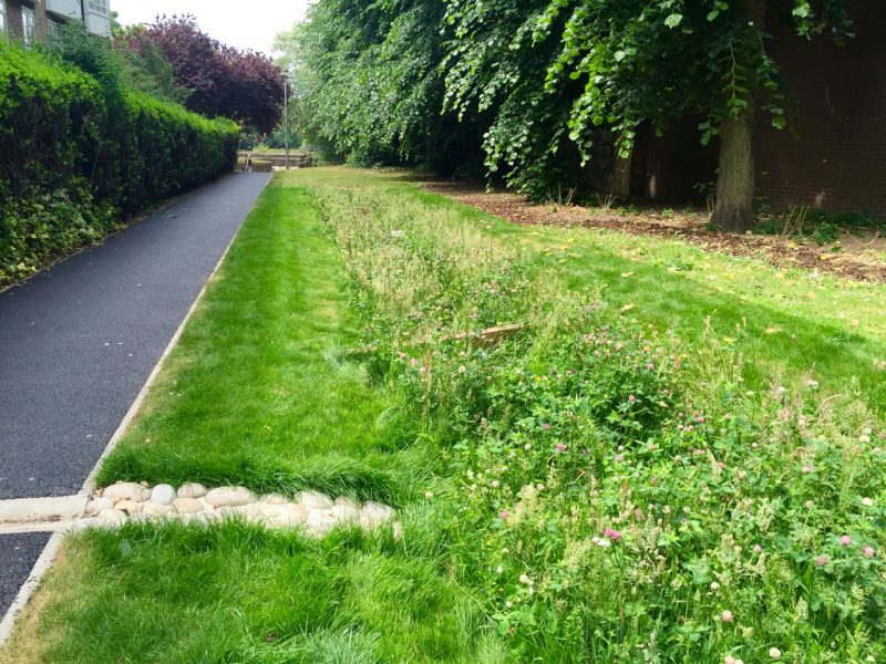 retrofitting rain gardens in possible