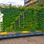 Green Living room – green walls are part of the green roof beauty contest