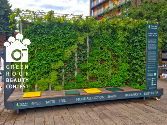 Green Living room – green walls are part of the green roof beauty contest