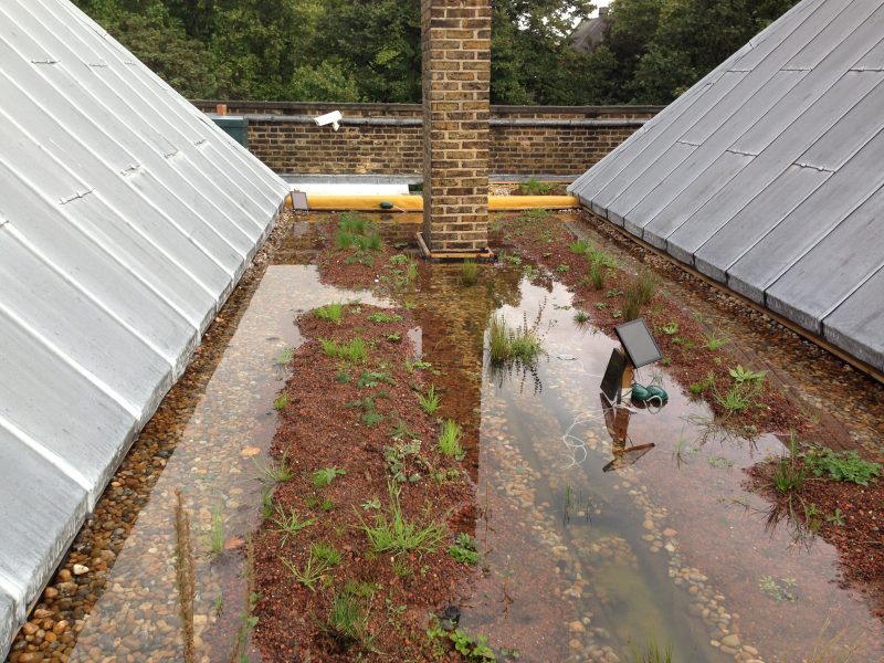 Blue infrastructure is green infrastructure