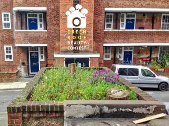 Shed - green roofs photos London