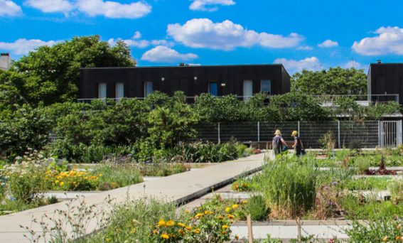 Farming on rooftops  – from Brussels to Frisco Bay via Paris