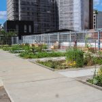Welcome to “The garden on the roof”  at Vignoles Gymnasium, Paris