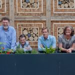 Creating habitat for breeding solitary bees – London
