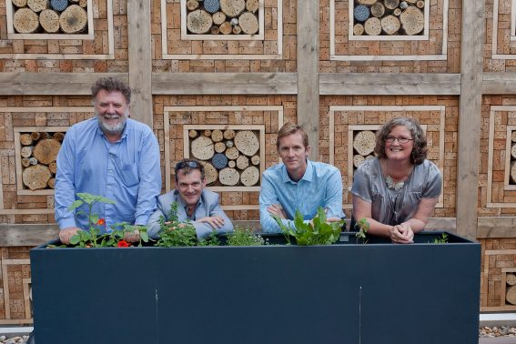 Creating habitat for breeding solitary bees – London