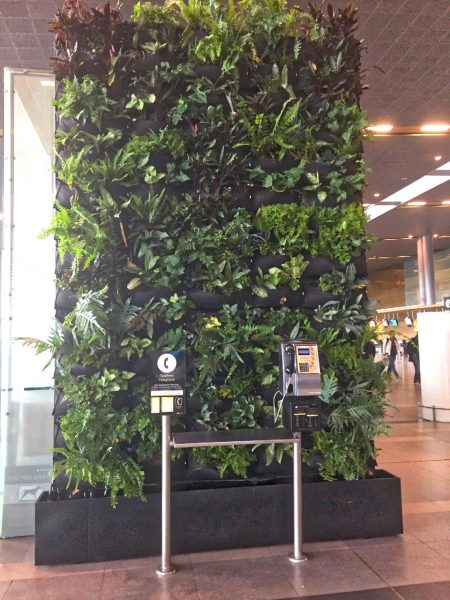green wall - Bogota