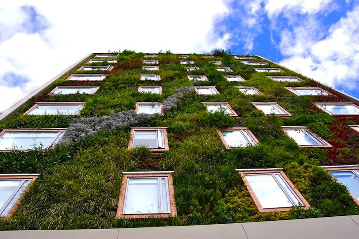 green wall - Colombia.