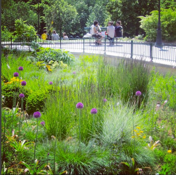 Pocket Park - Paris