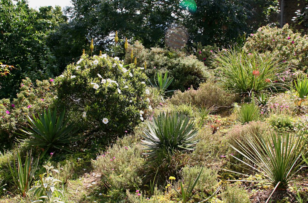 Mediterranean green roof slope