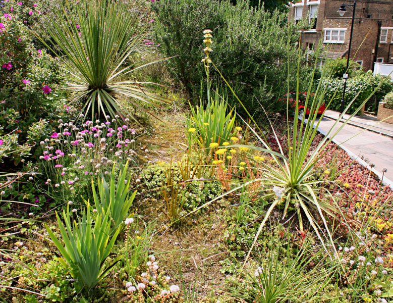 green roof Mediterranean hillside