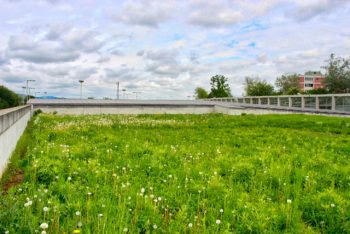green roof motorway canopy