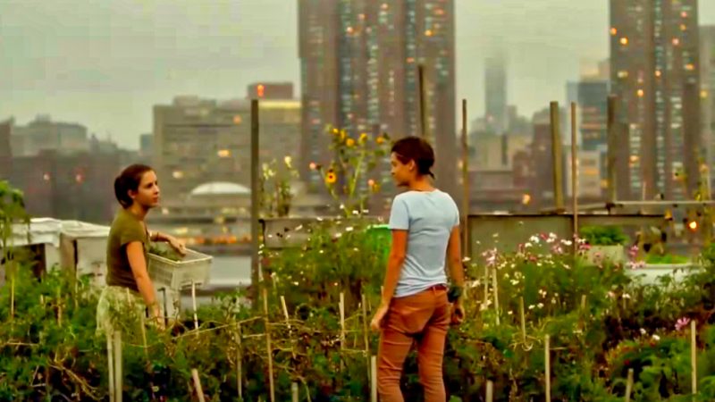 intensive - rooftop food