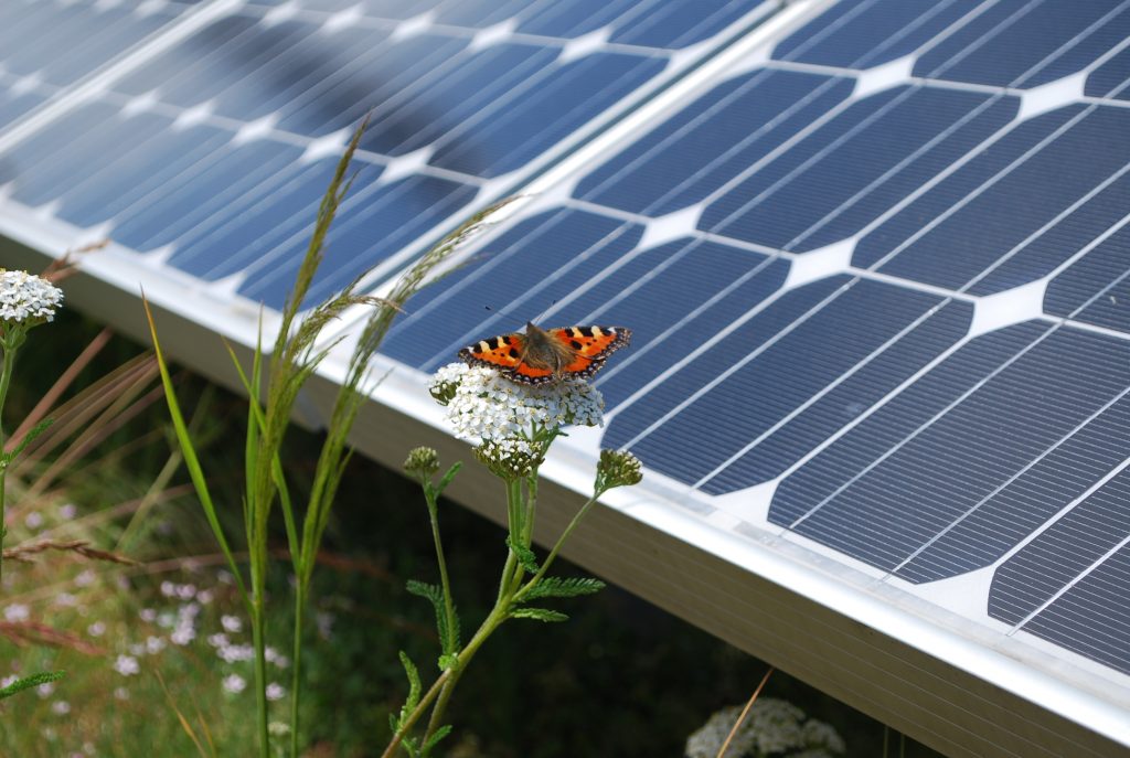 French - could increase biodiversity and solar power generation
