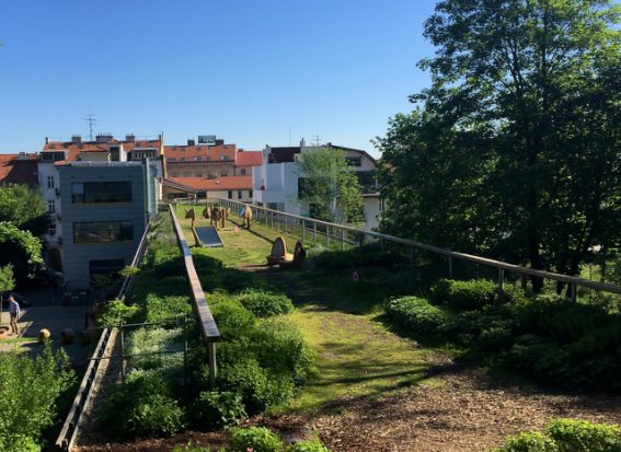 Czech buildings to be given financial support to implement green roofs