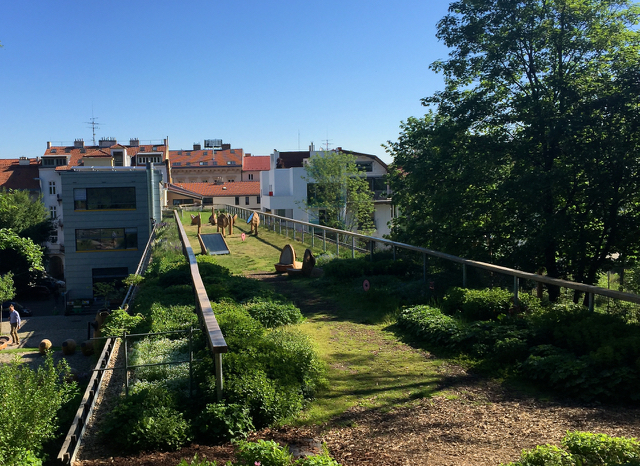 Intensive green roof Czech