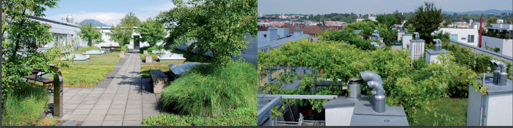 Salzburg - Österreich - Austria - green roofs