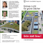 ‘More green instead of grey’ is the new Salzburg motto