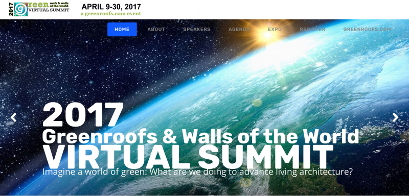 Virtual Summit