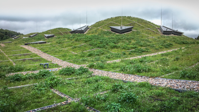 NFRC green roof winner 2017