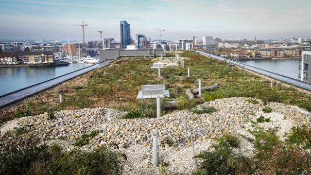 uk green roof market report 2017