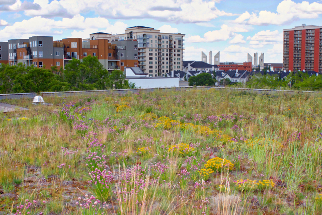 green performance - prairie style green roof