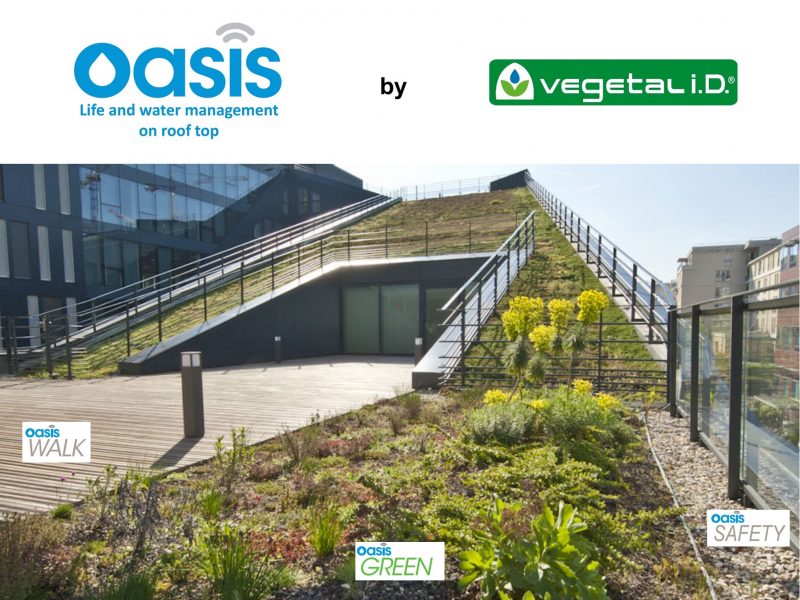 The blue green roof - helping cities cope with stormwater