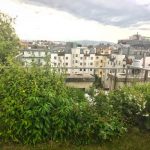 Wild bees a buzz in Vienna – new research on bees and green roofs