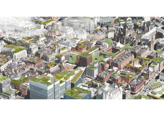 The Northern forest and cities with glades in the sky