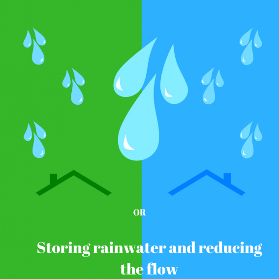 Blue roofs or green roofs or both together store water?